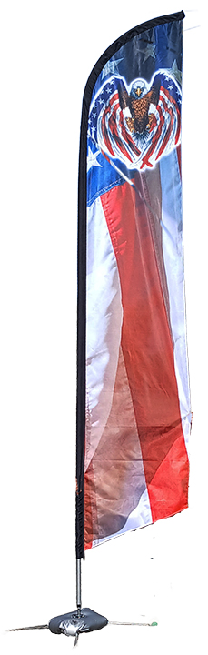 AFS-2001-eagle-flag.jpg