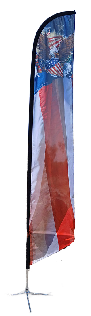 AFS-2002-eagle-flag.jpg