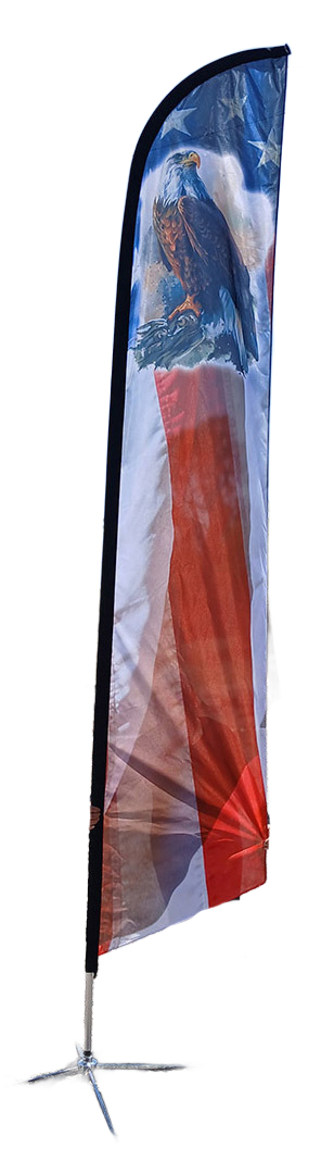 AFS-2003-eagle-flag.jpg