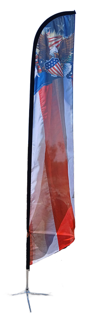 AFS-2002-eagle-flag.png