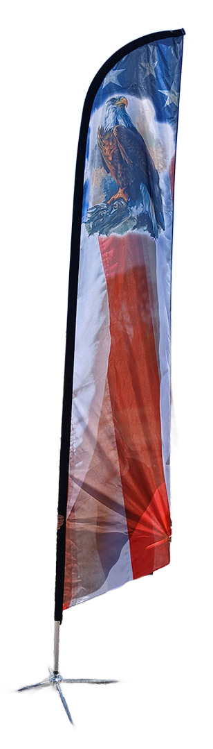 AFS-2003-eagle-flag.png